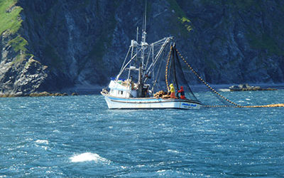 NorthScope Software Solution for Alaskan Seafood Processors