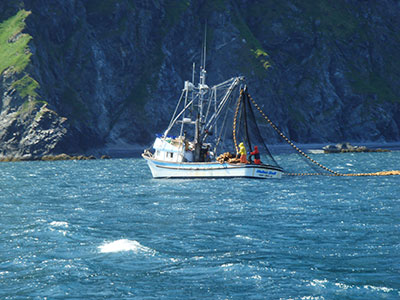 NorthScope Software Solution for Alaskan Seafood Processors